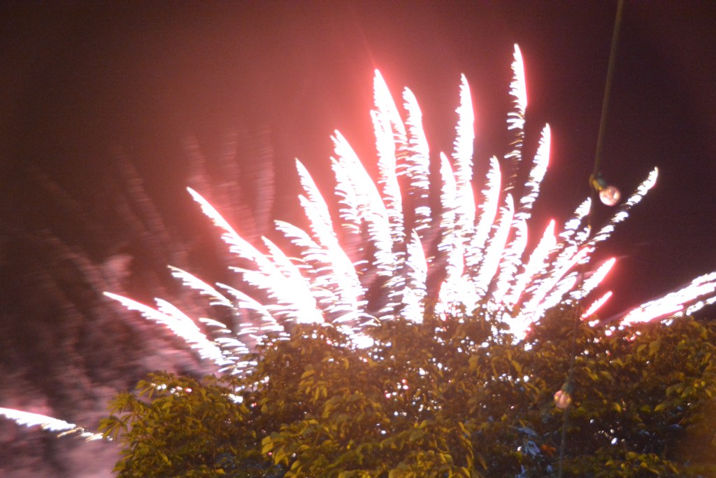 photo Villeneuve médiéval fête